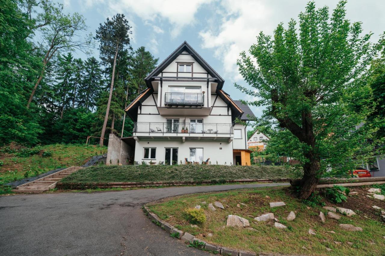 Villa Sudecka Duszniki Zdrój Exterior foto