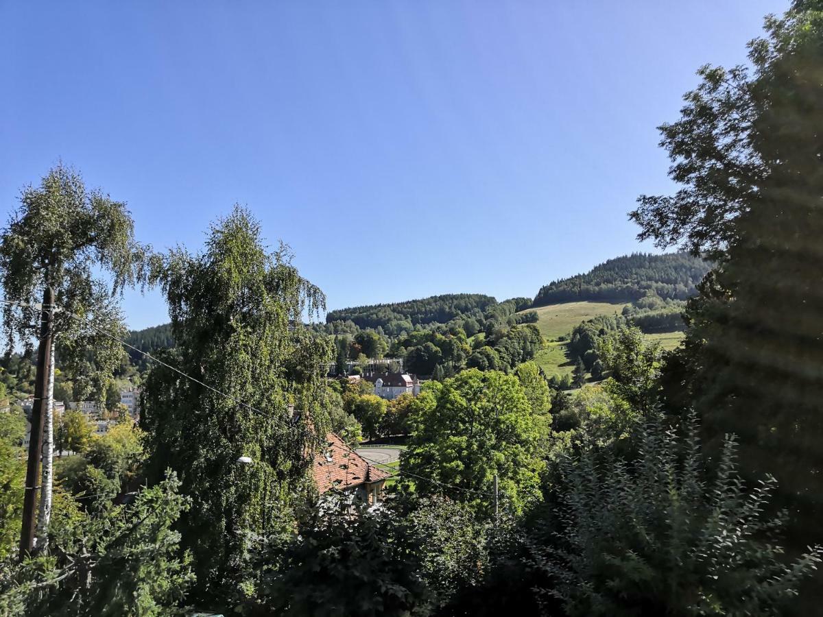 Villa Sudecka Duszniki Zdrój Exterior foto